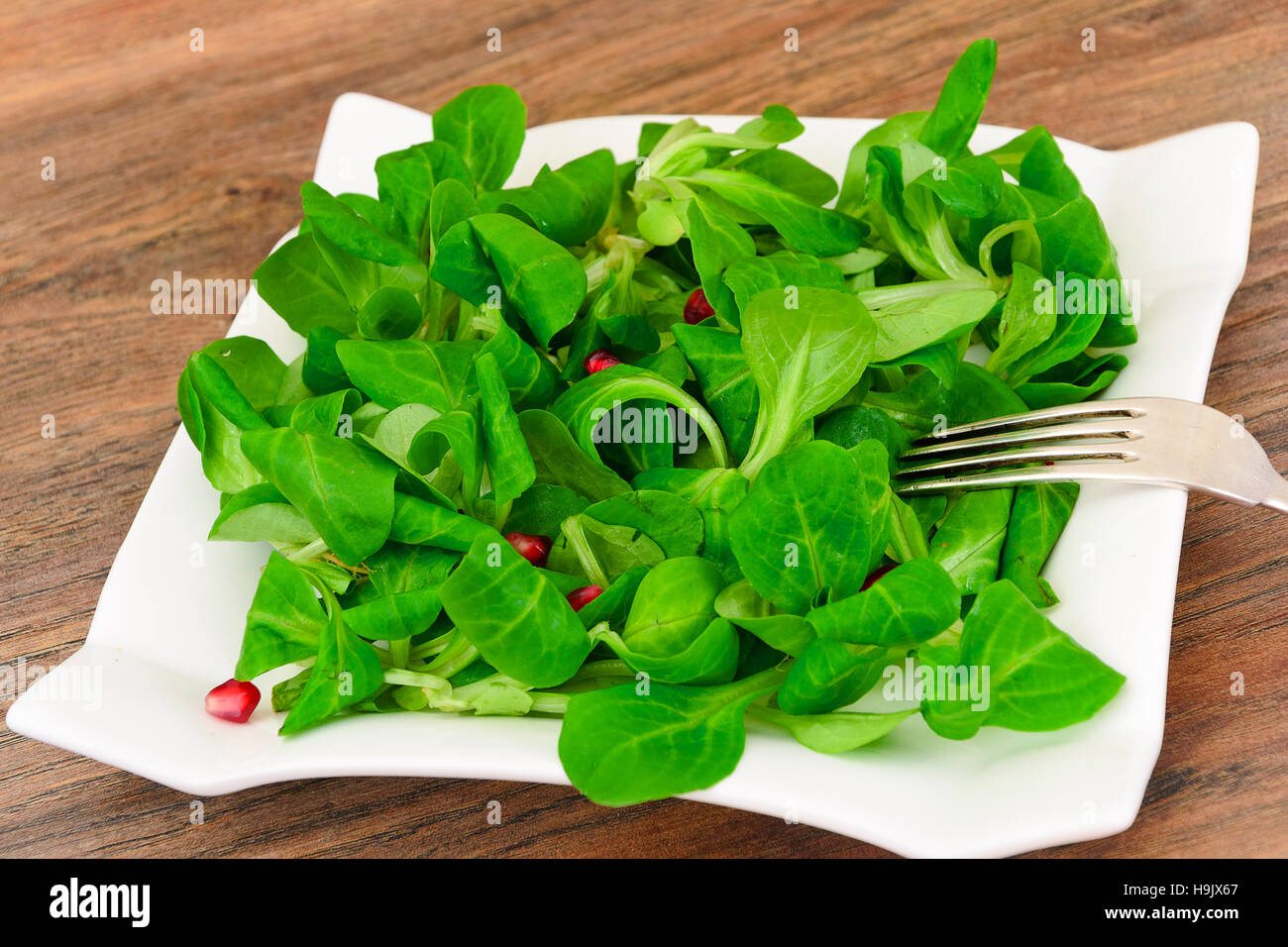 Green Fresh Salad on Plate. Studio Photo Stock Photo