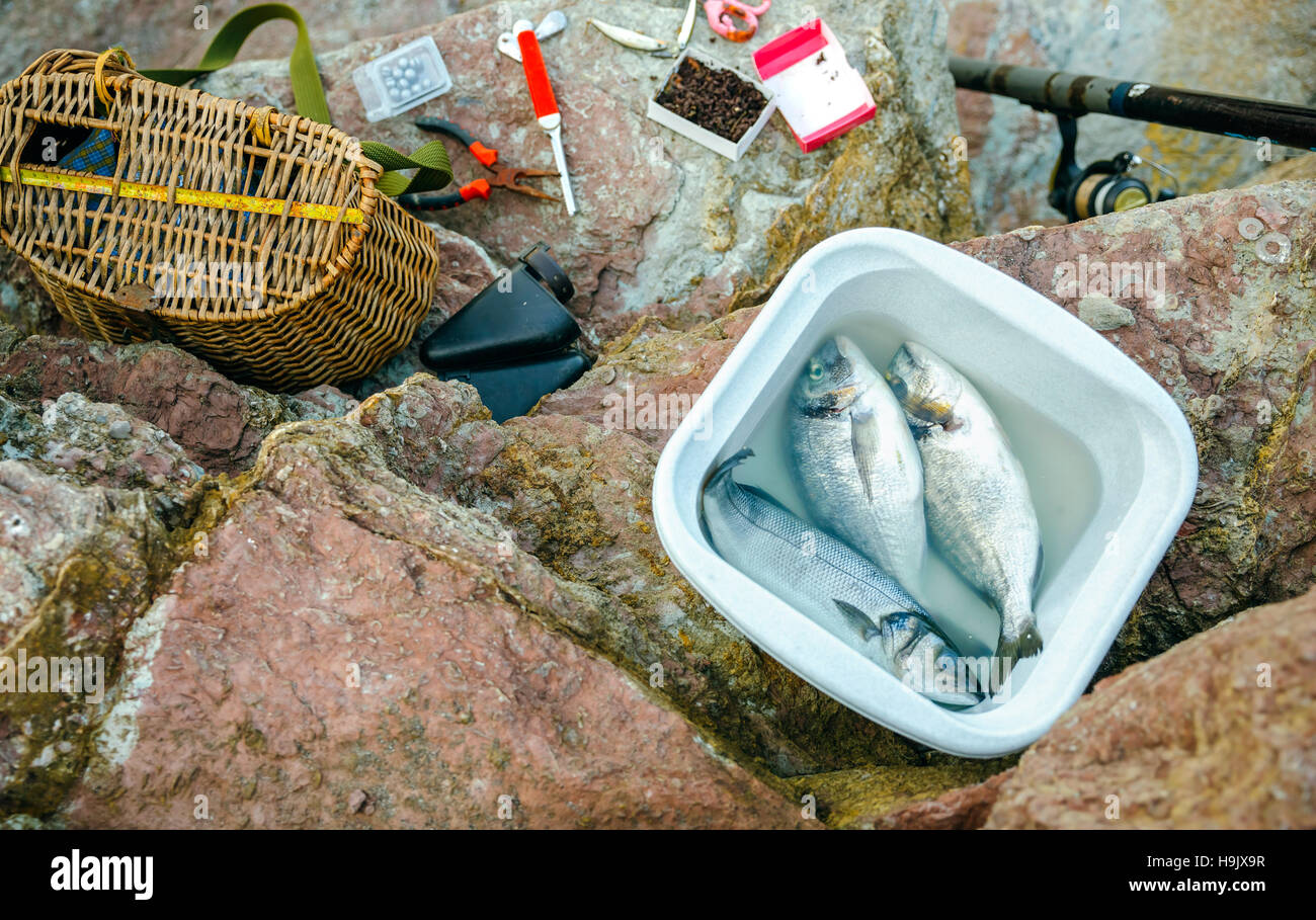 Bucket of fish hi-res stock photography and images - Alamy