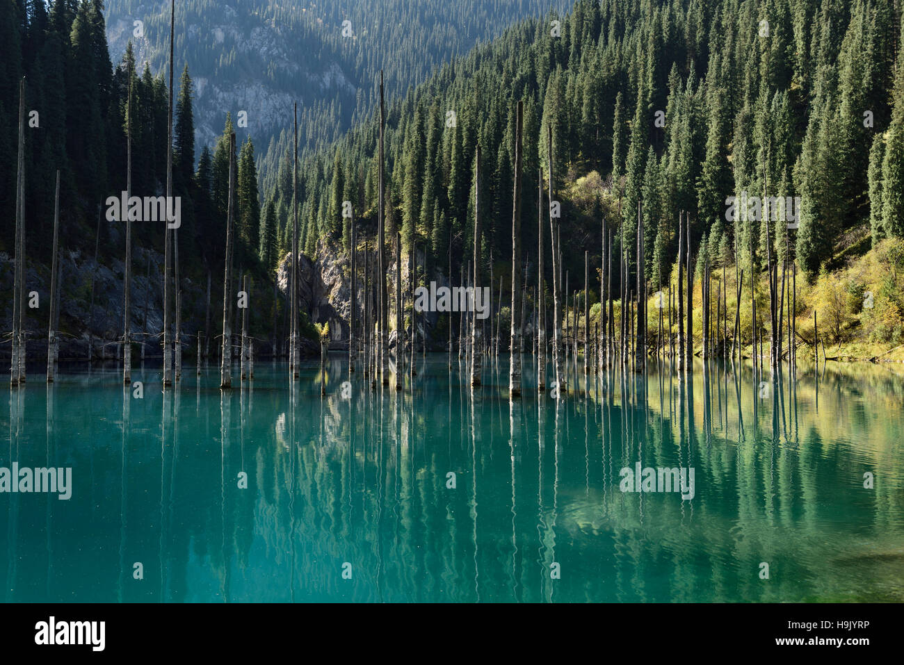 Asian Spruce forest reflected in turquoise Lake Kaindy Kazakhstan in the Fall Stock Photo