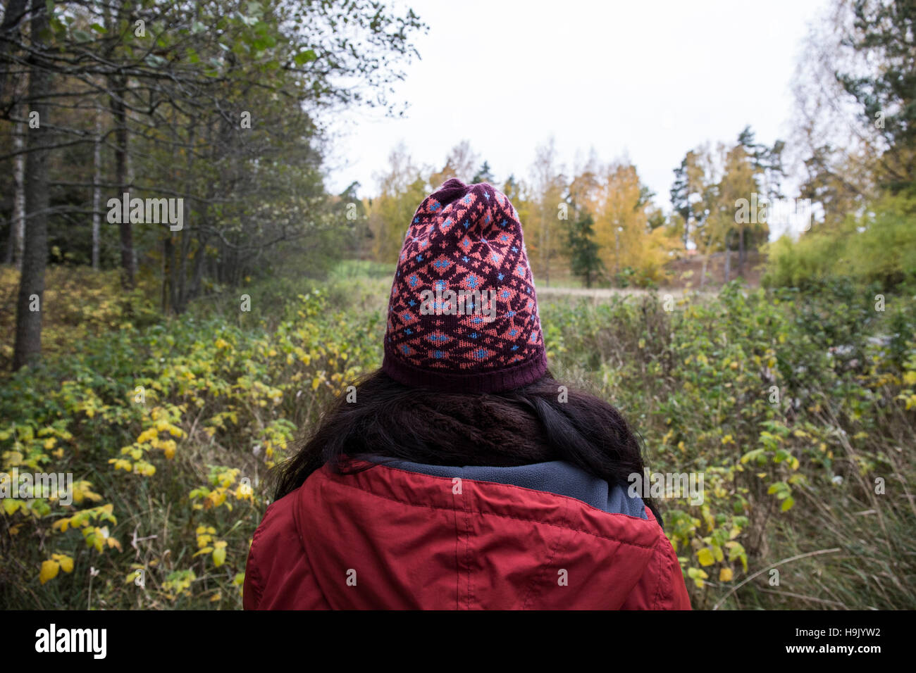 Back view of woman wearing patterned wooly hat in nature Stock Photo ...