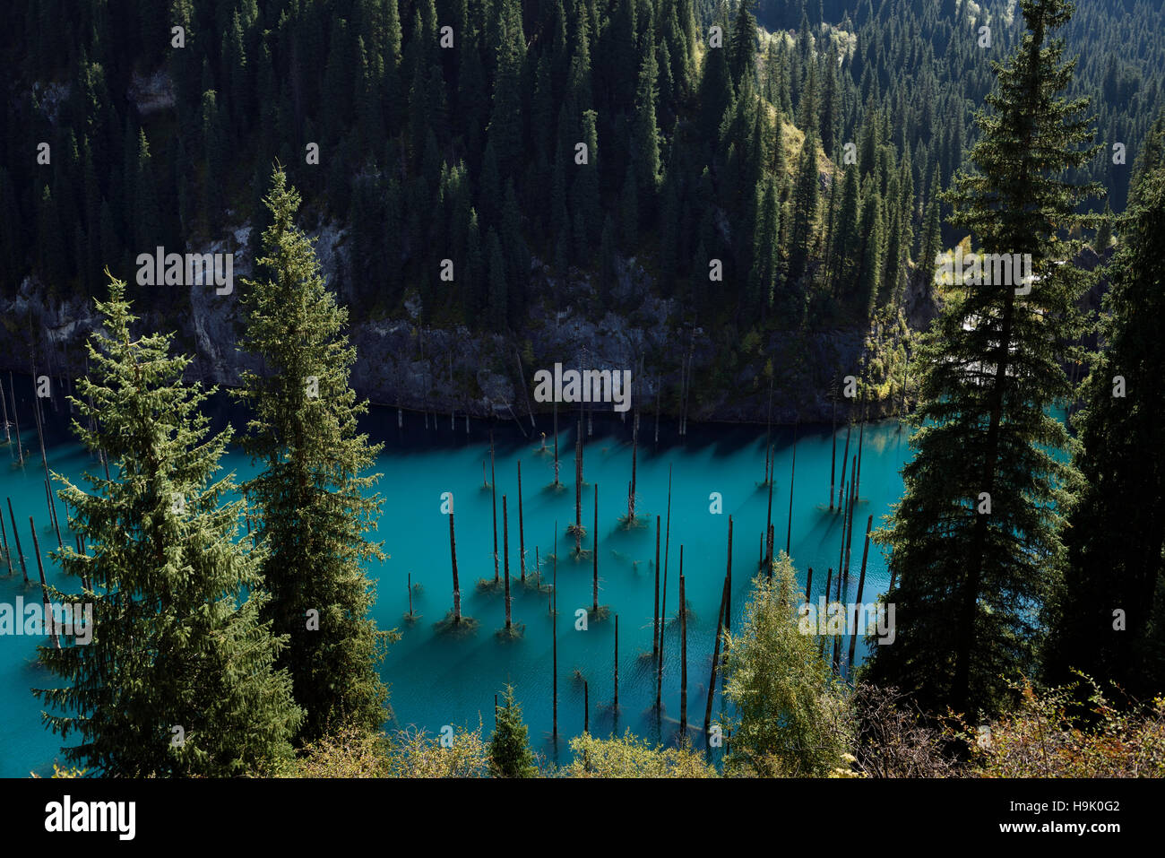 Turquoise Lake Kaindy from above with Asian Spruce trees Kazakhstan Stock Photo