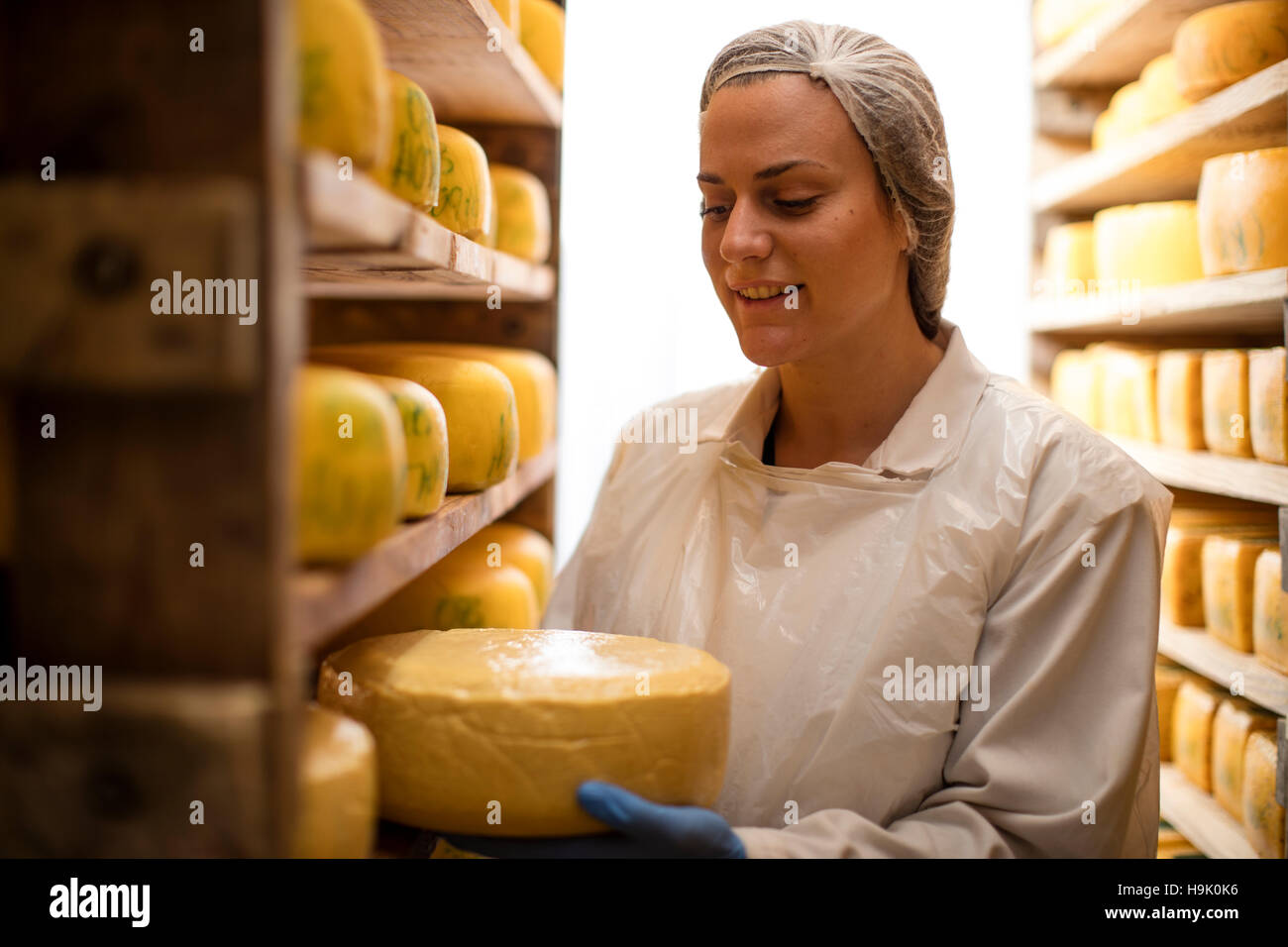 Cheese factory worker controlling maturation of cheese Stock Photo Alamy