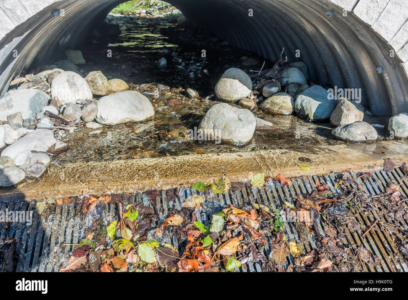 A stream runs under a walking bridge at Seahurst Beach in Burien, Washington Stock Photo Alamy