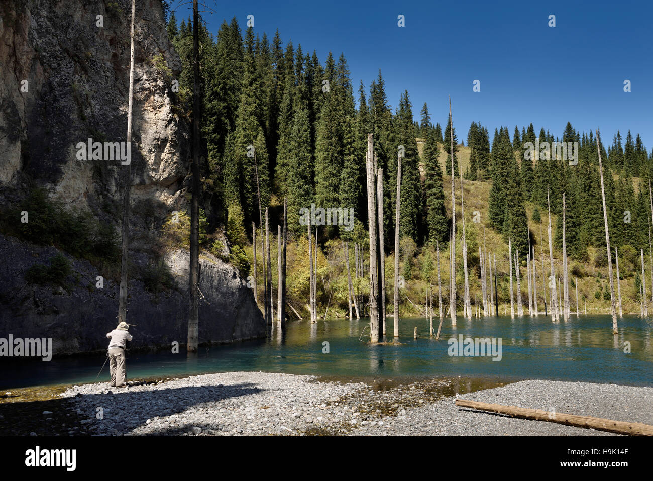 Photographer at Kaindy river Gorge to Kaindy Lake with Spruce trees Kazakhstan Stock Photo