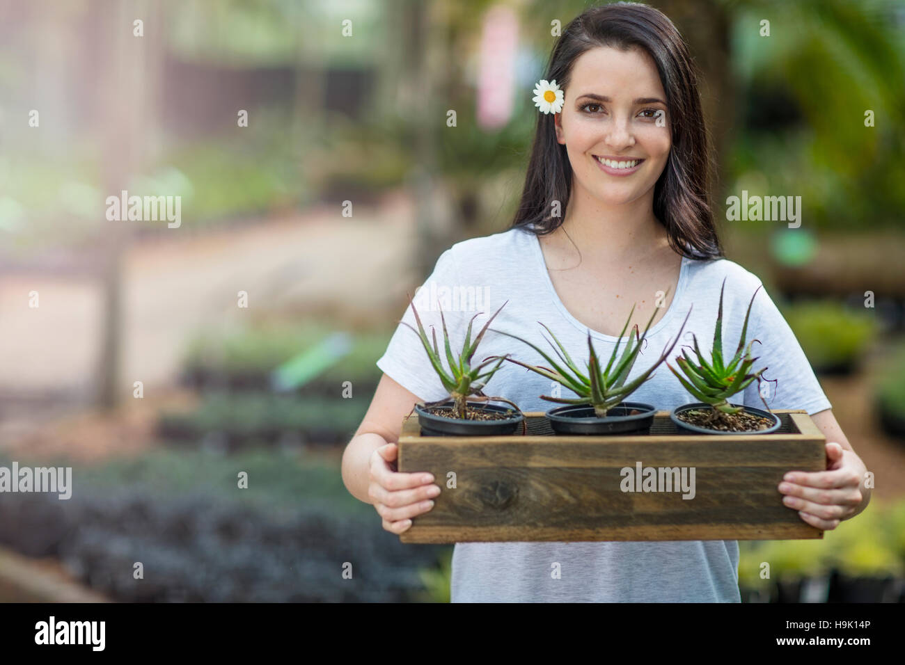 Woman holding plant in garden centre Stock Photo - Alamy