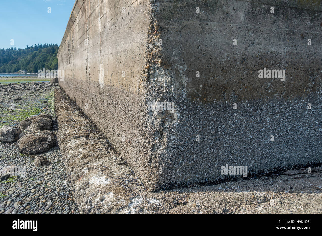 Erosion on a seawall  is revealed at low tide. Location is Des Moiines, Washington. Stock Photo