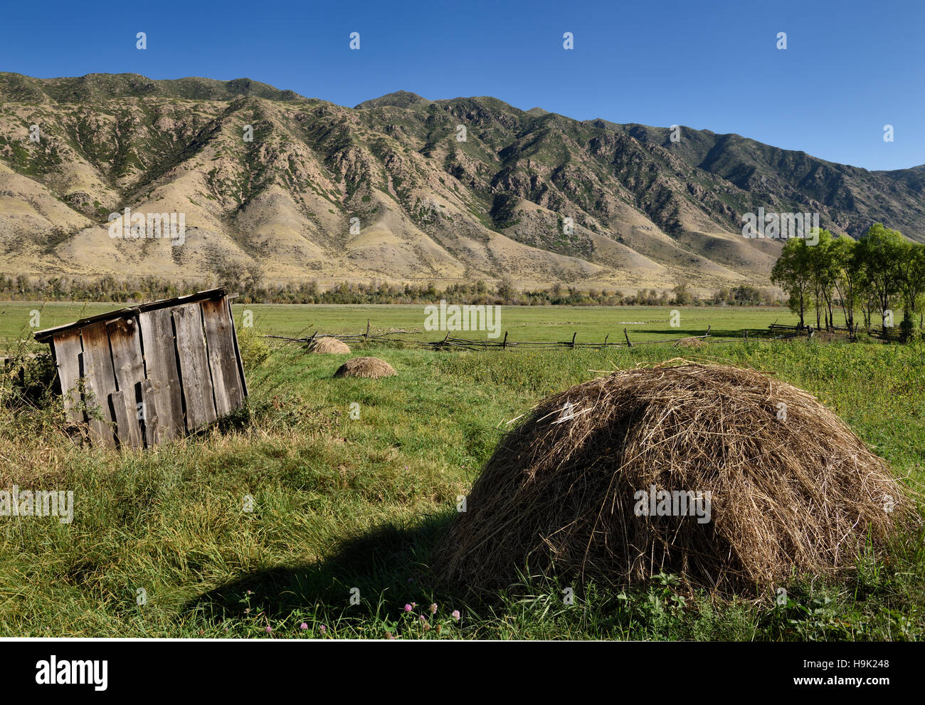 Hay piles in Saty village yard facing the Chilik river and Kungey Alatau mountains Kazakhstan Stock Photo