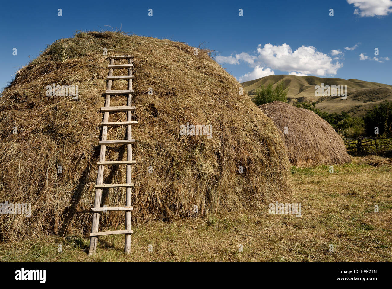 Hay stack with ladder in rural village of Saty on the Chilik river Kazakhstan Stock Photo