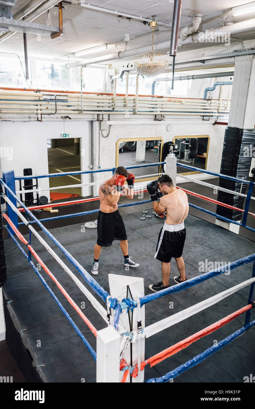 Two boxers fighting in boxing ring Stock Photo Alamy
