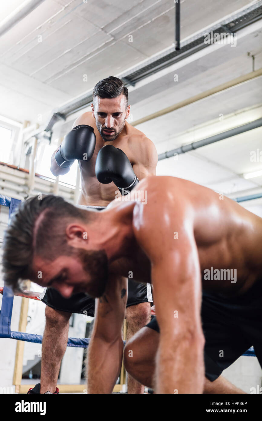 Boxer knocking down opponent Stock Photo