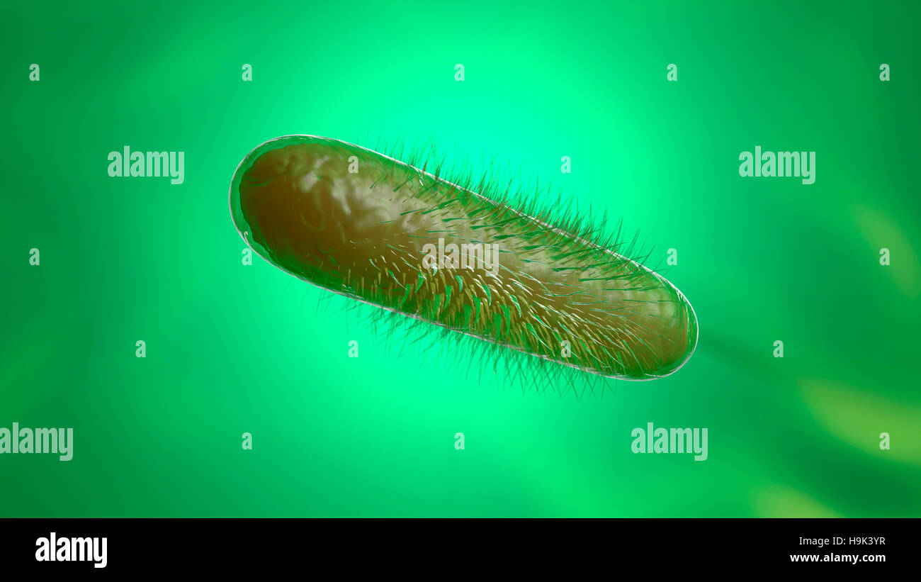 Bacteria, 3D Rendering Stock Photo