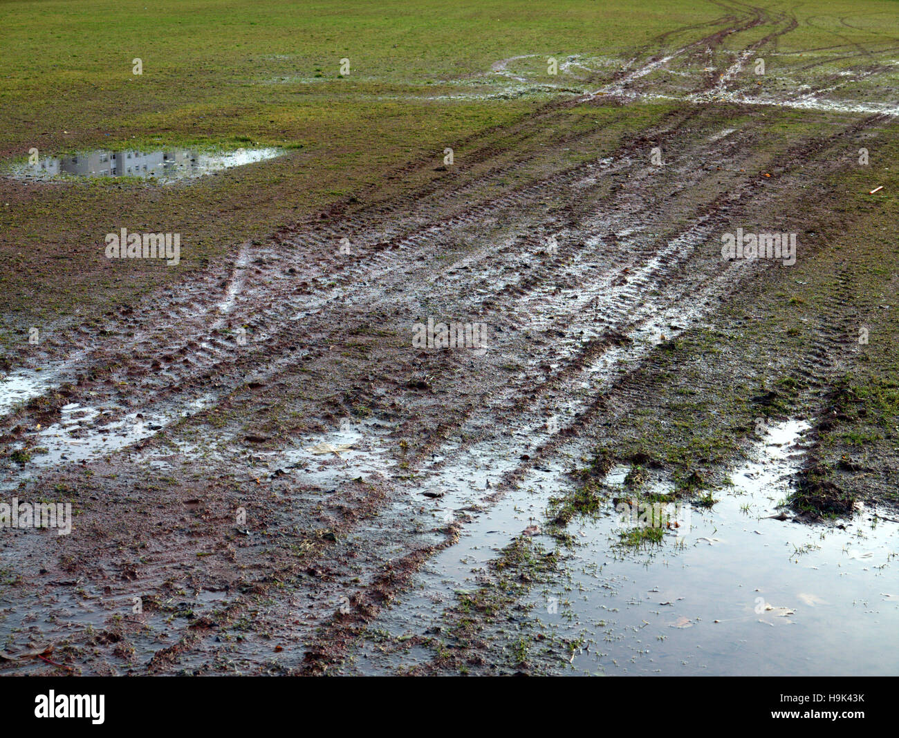 tractor byre tracks in mud with grass green Stock Photo