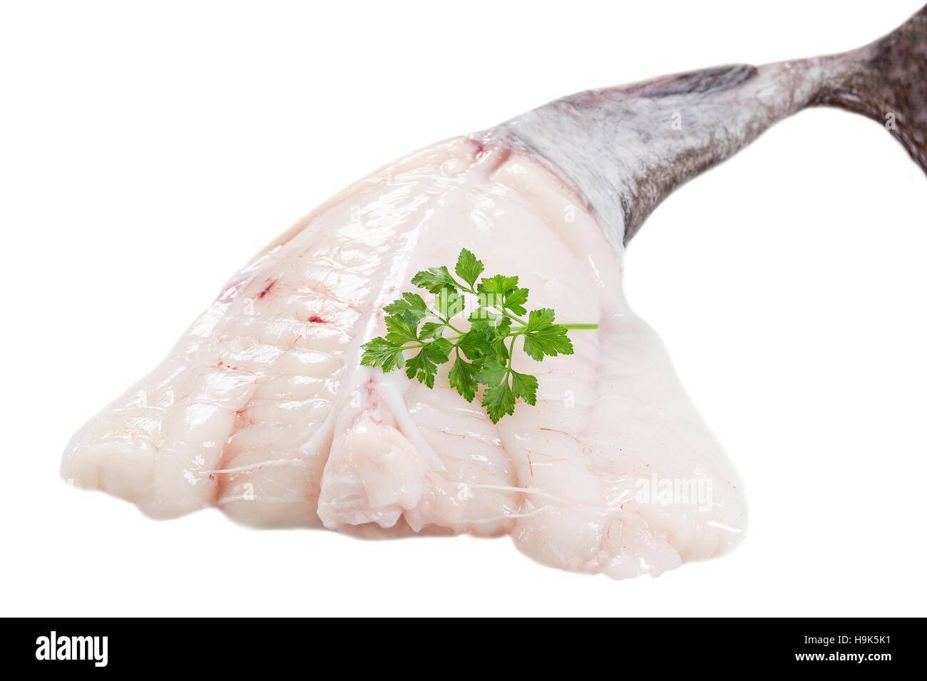 picture of monkfish in front  white background Stock Photo