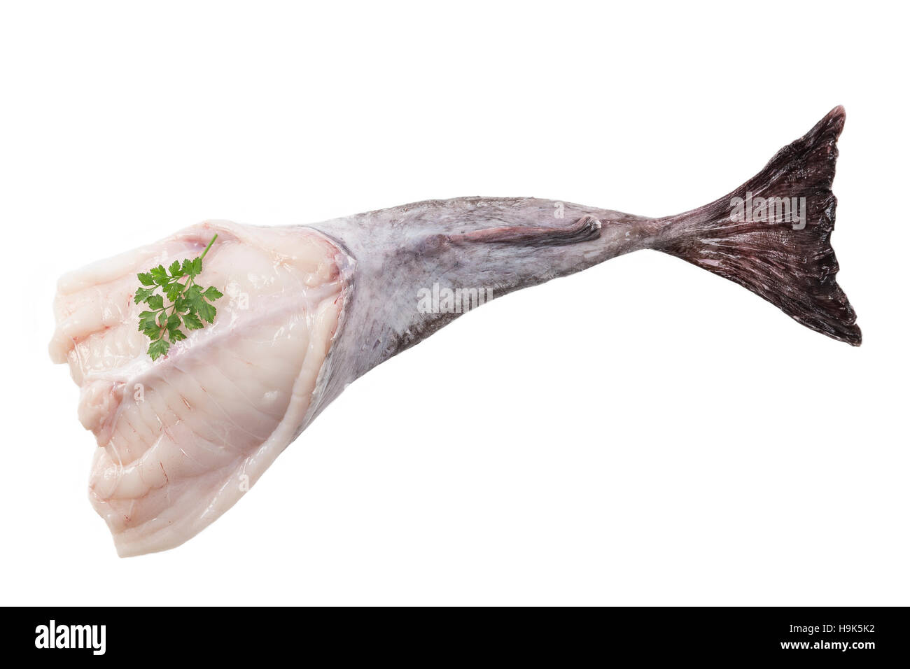 picture of monkfish in front  white background Stock Photo