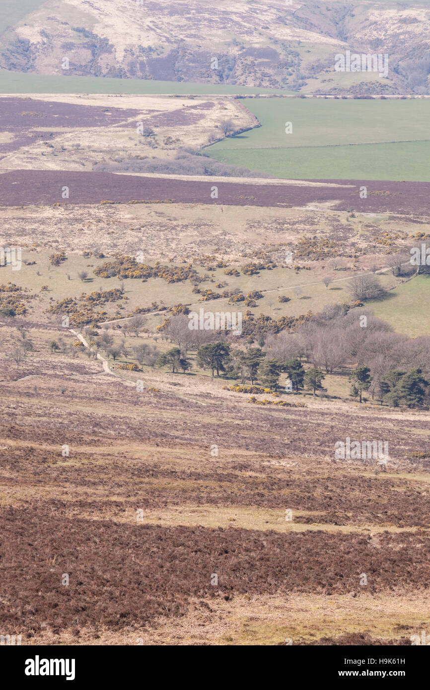 Looking across the heathlands of Exmoor national park from Dunkery