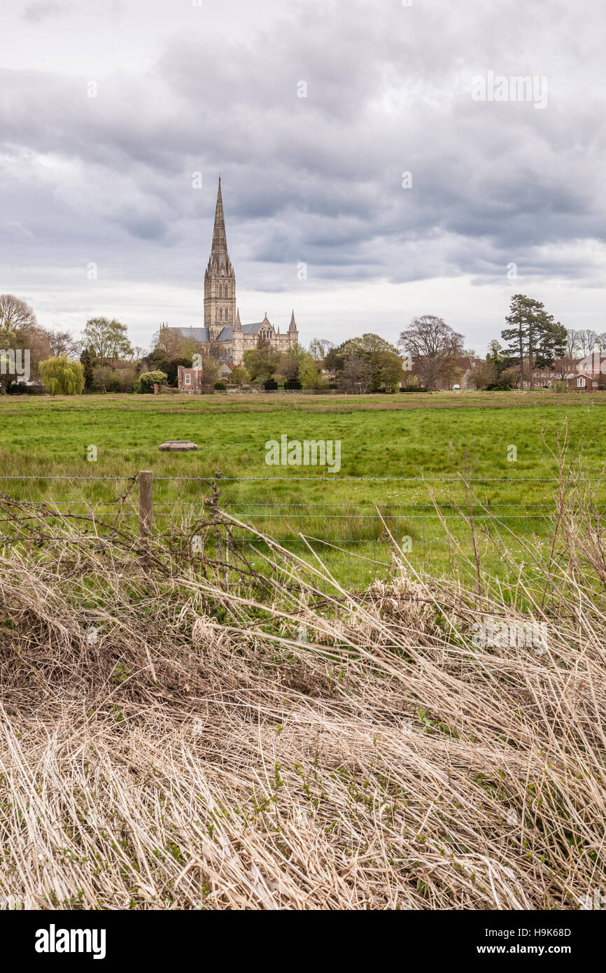 Salisbury cathedral and the west harnham water meadows in Wiltshire