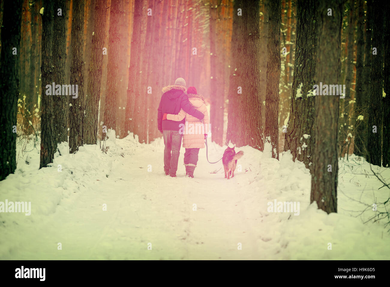 Young hugging couple in love with dog on the leash walking outdoor in winter forest at sunset Stock Photo