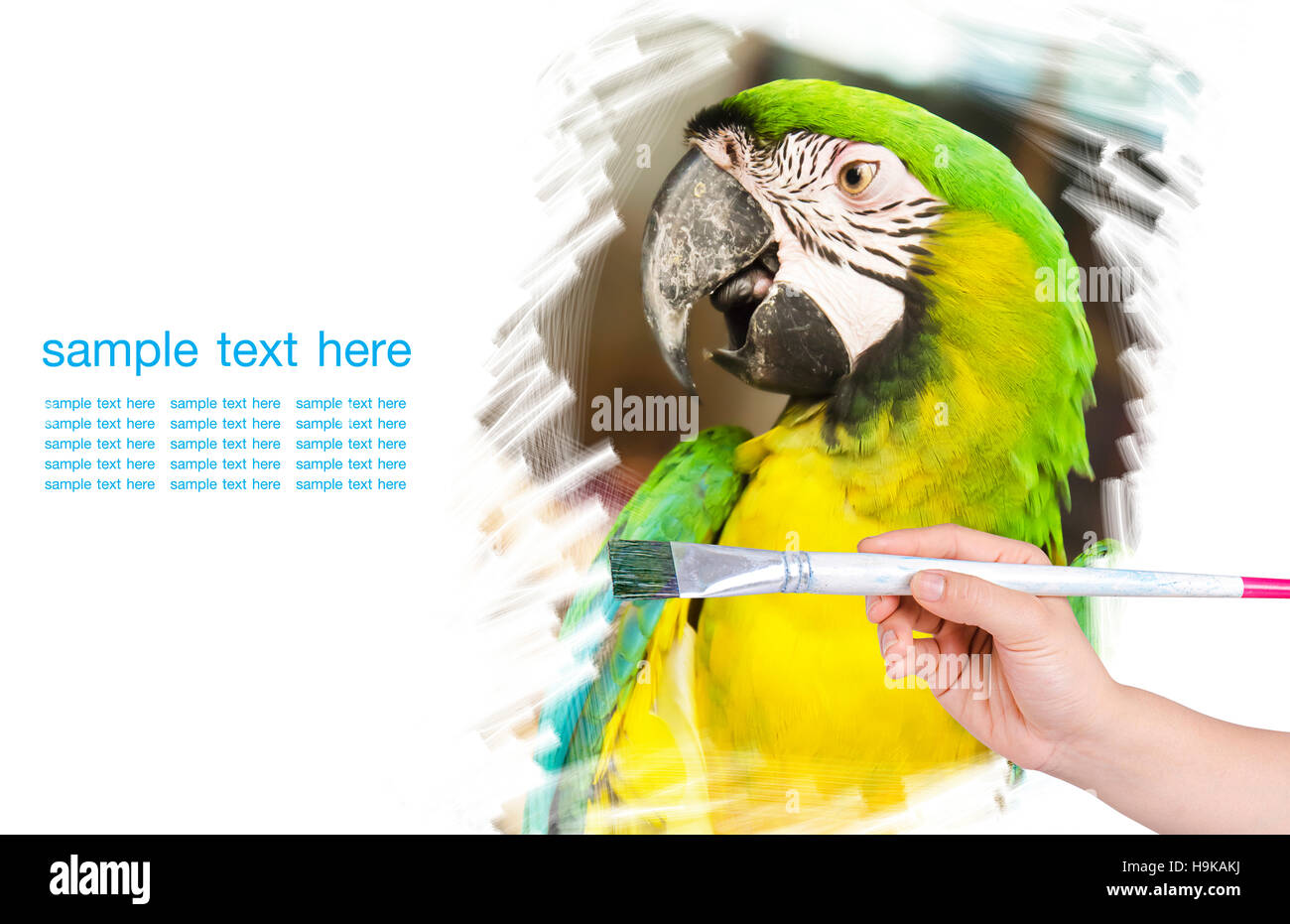 Artwork of drawing bird with paint brush Stock Photo