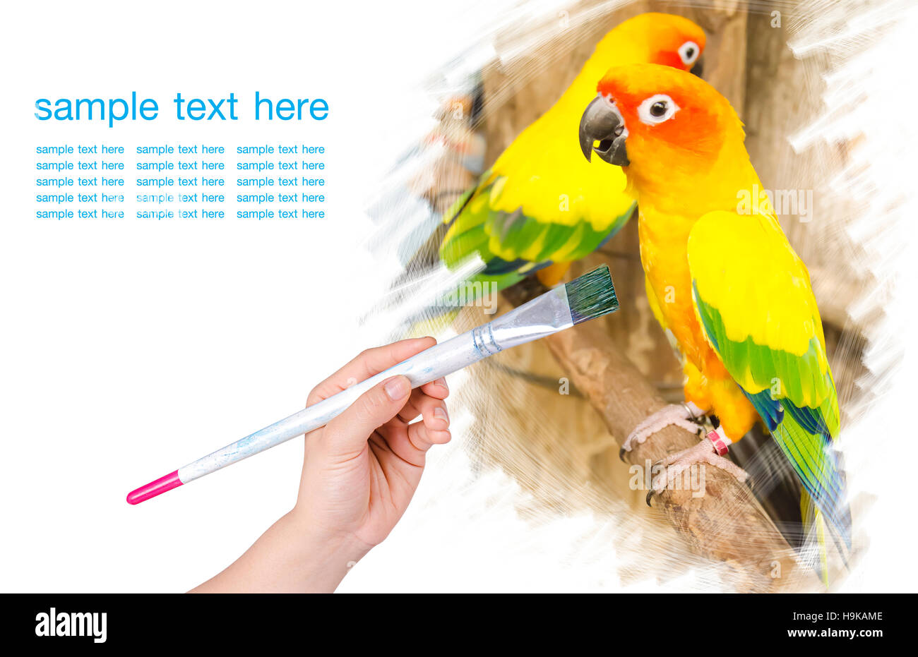 Artwork of drawing bird with paint brush Stock Photo
