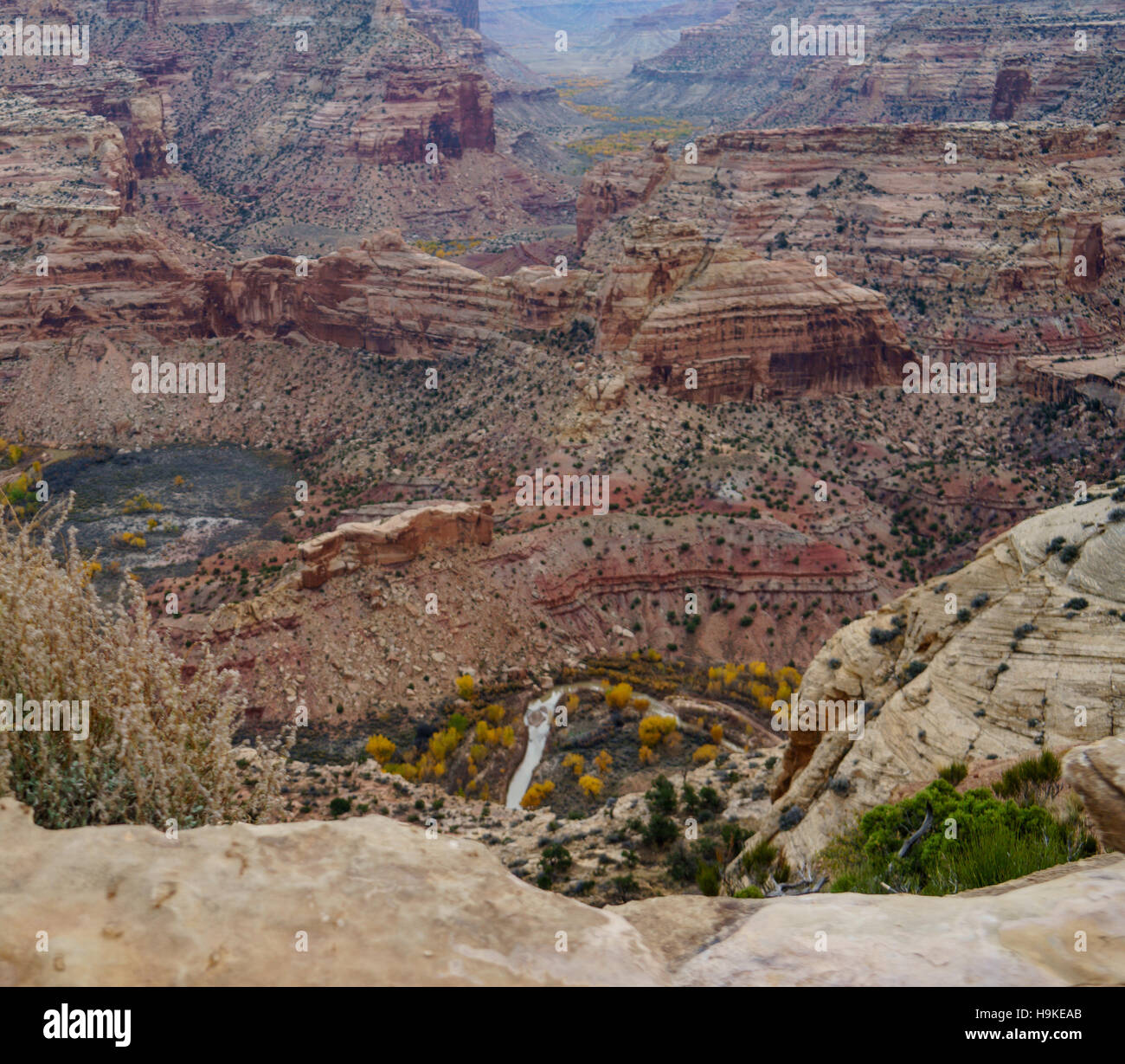 A canyon in the desert with the view from the Wedge Overlook in the San Rafael Swell, Utah. Stock Photo