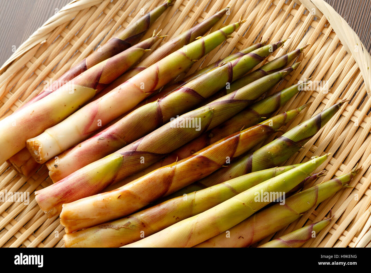 Bamboo Sprouts High Resolution Stock Photography and Images Alamy