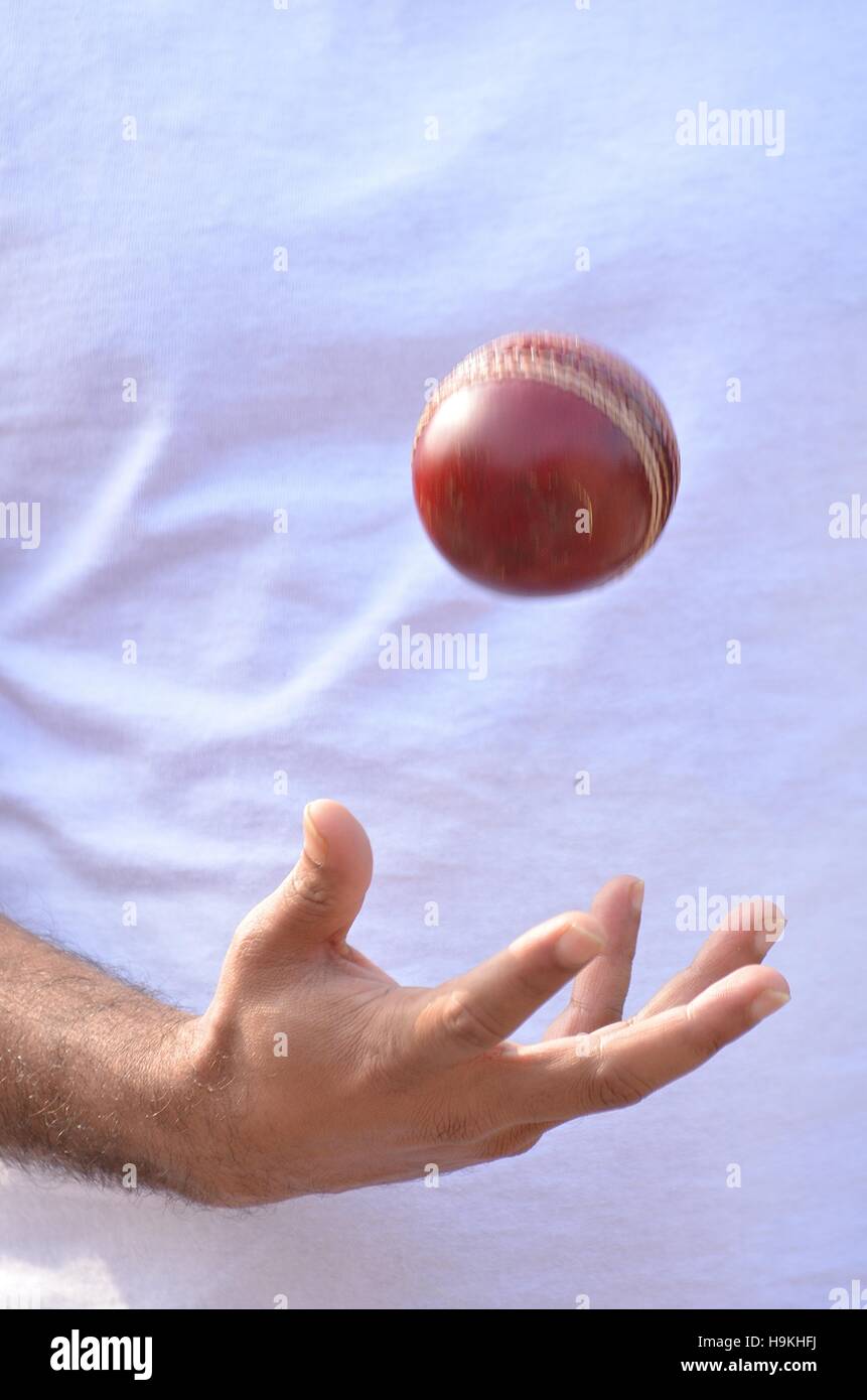 cricket spin bowler going to ball Stock Photo Alamy