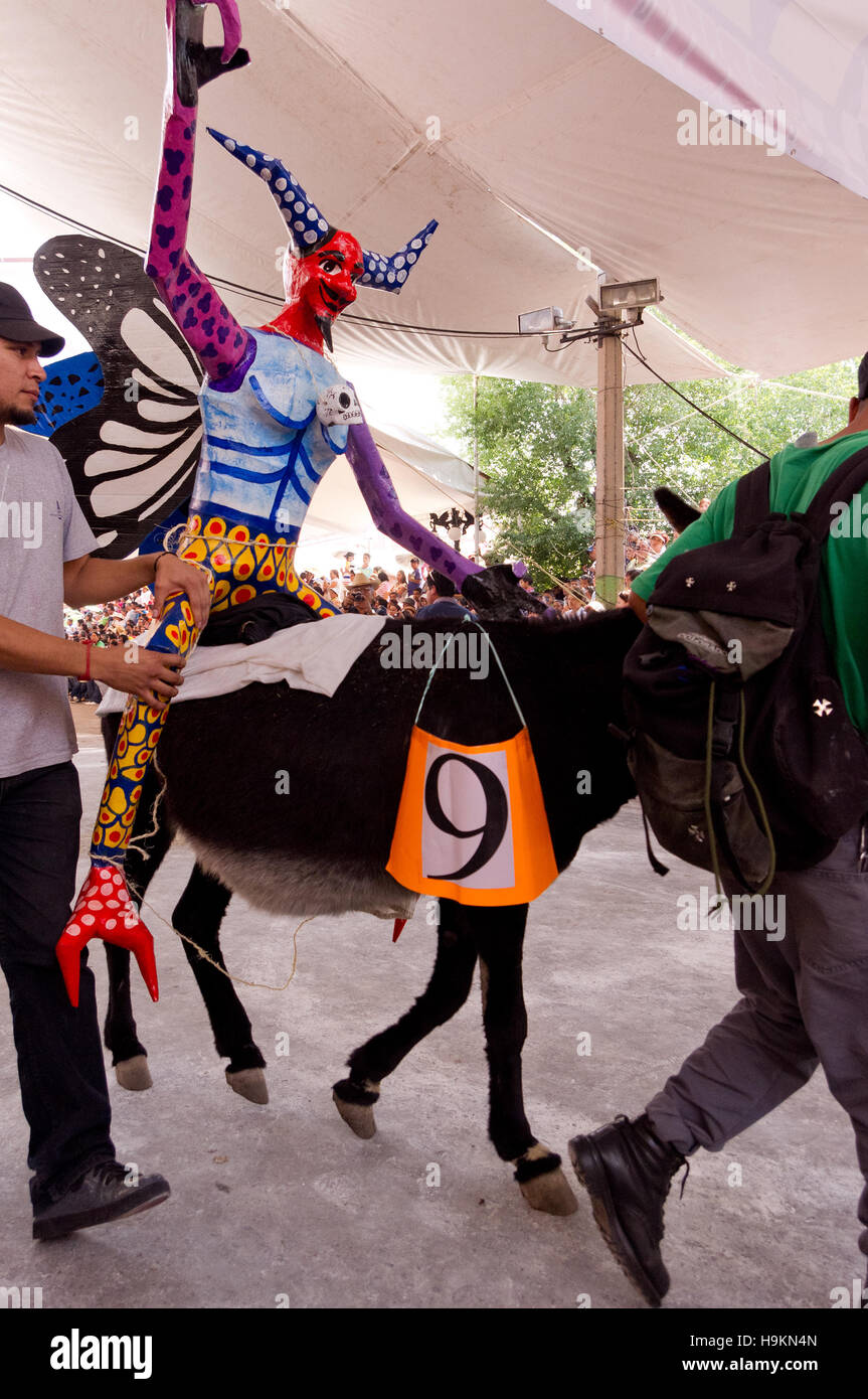 Dressed donkey contest during the Donkey Fair (Feria del burro) in Otumba, Mexico Stock Photo