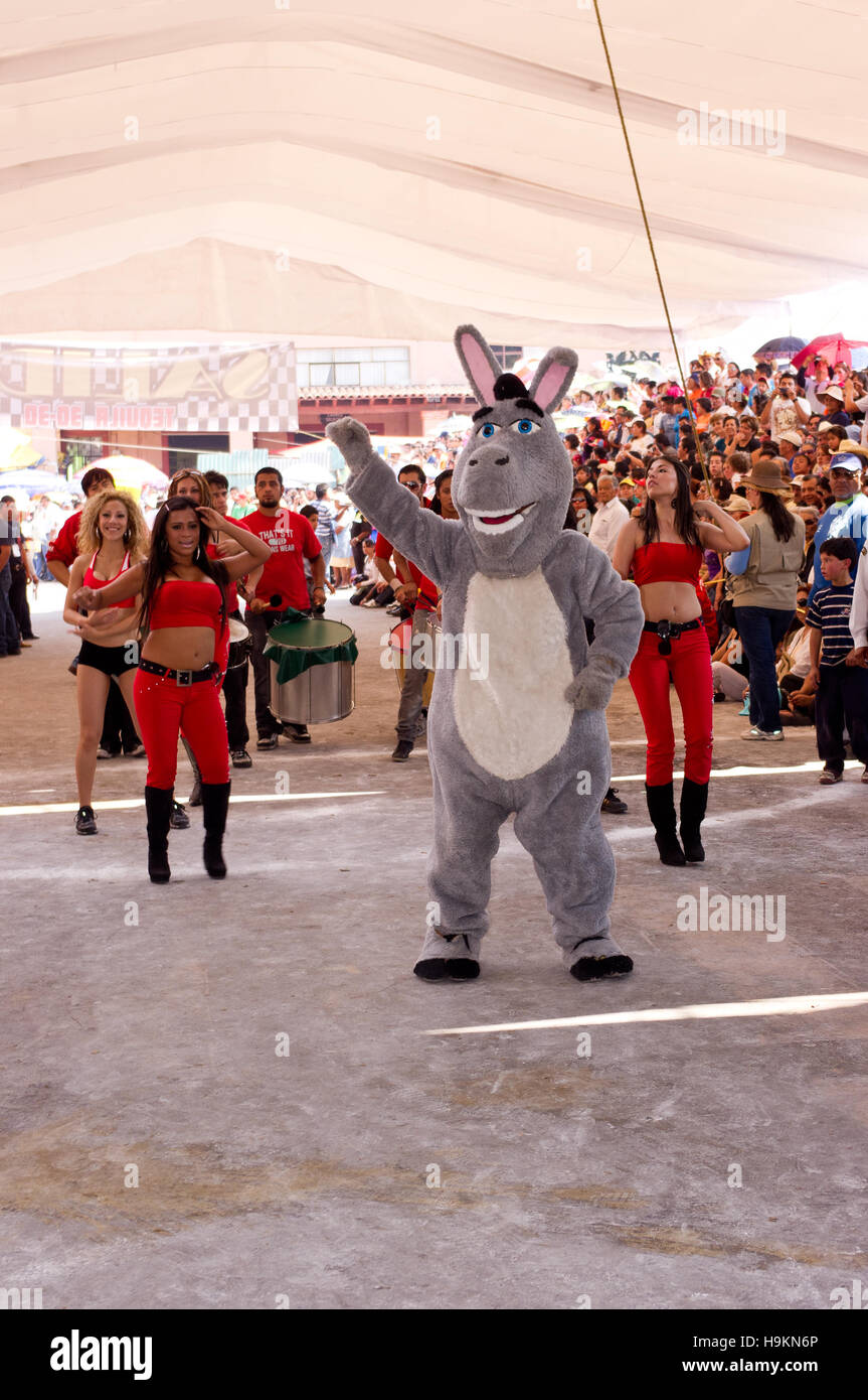 Person with a donkey costume during the Donkey fair (Feria del burro) in Otumba, Mexico Stock Photo