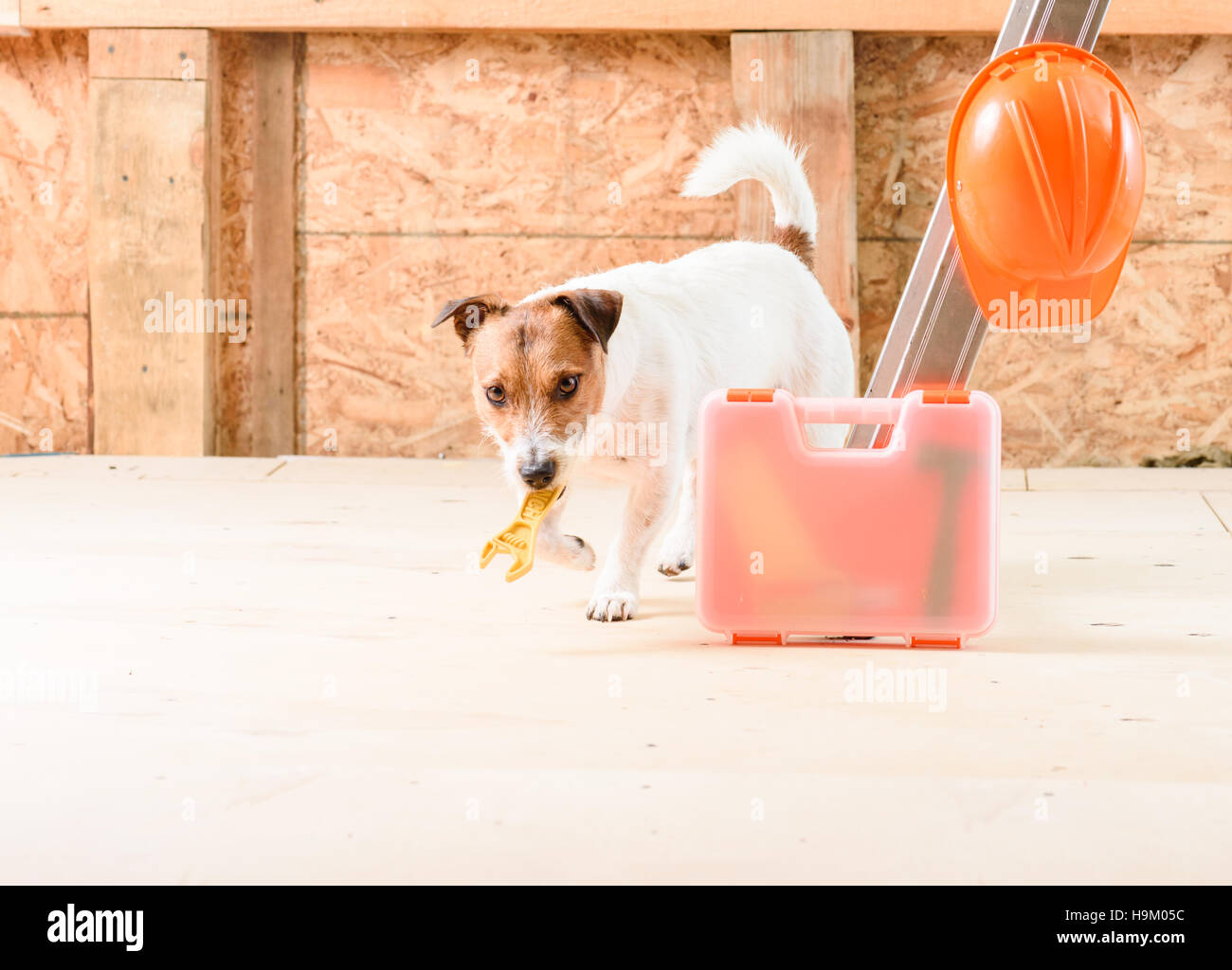 Construction toolbox do it yourself hi-res stock photography and images ...