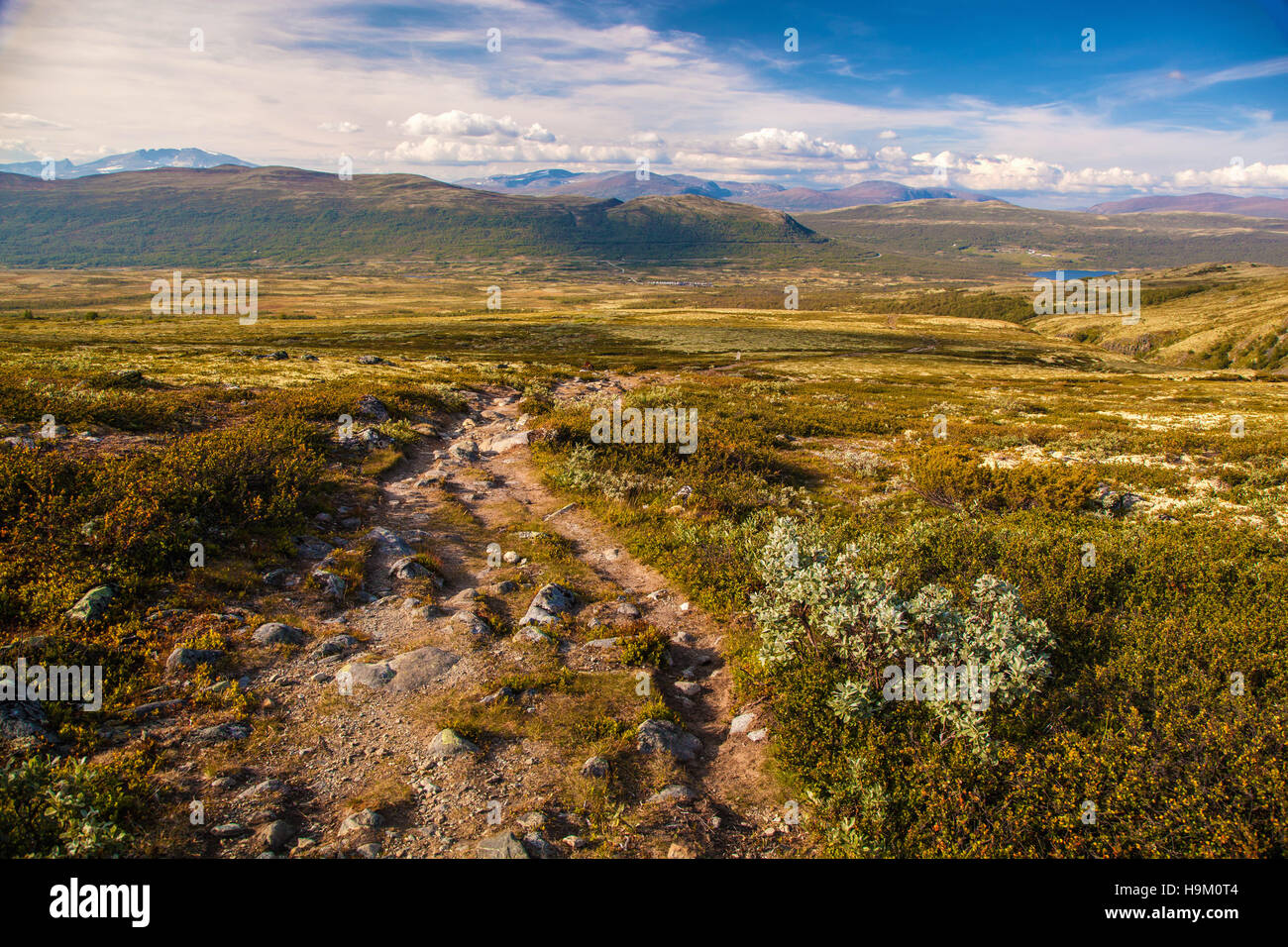 mountain landscape Norway national park Dovre Stock Photo