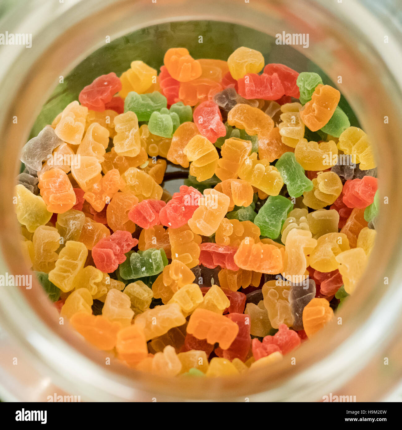 gummy jelly bear in a jar from top view Stock Photo