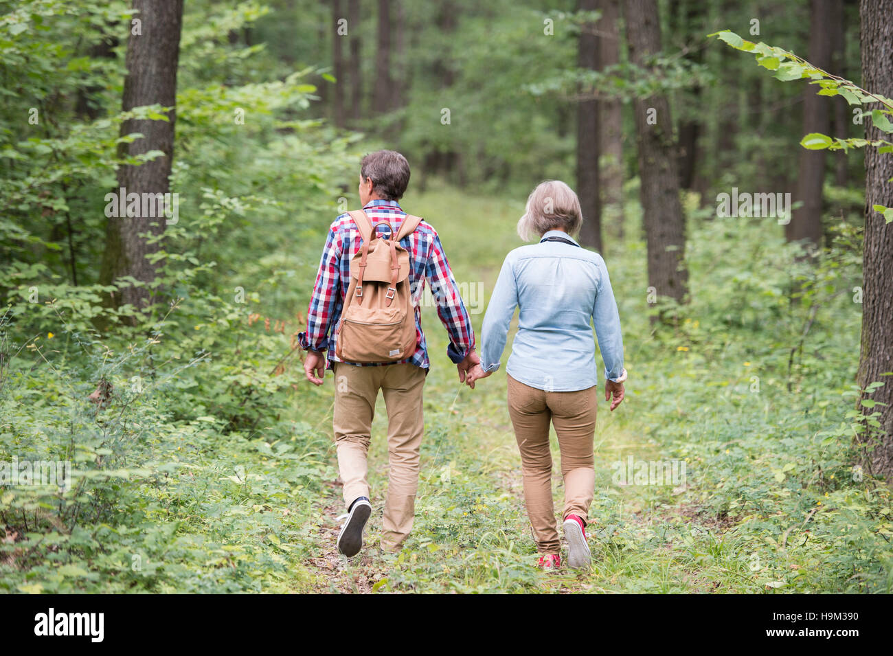 Back view of senior couple walking hand in hand in the woods Stock ...