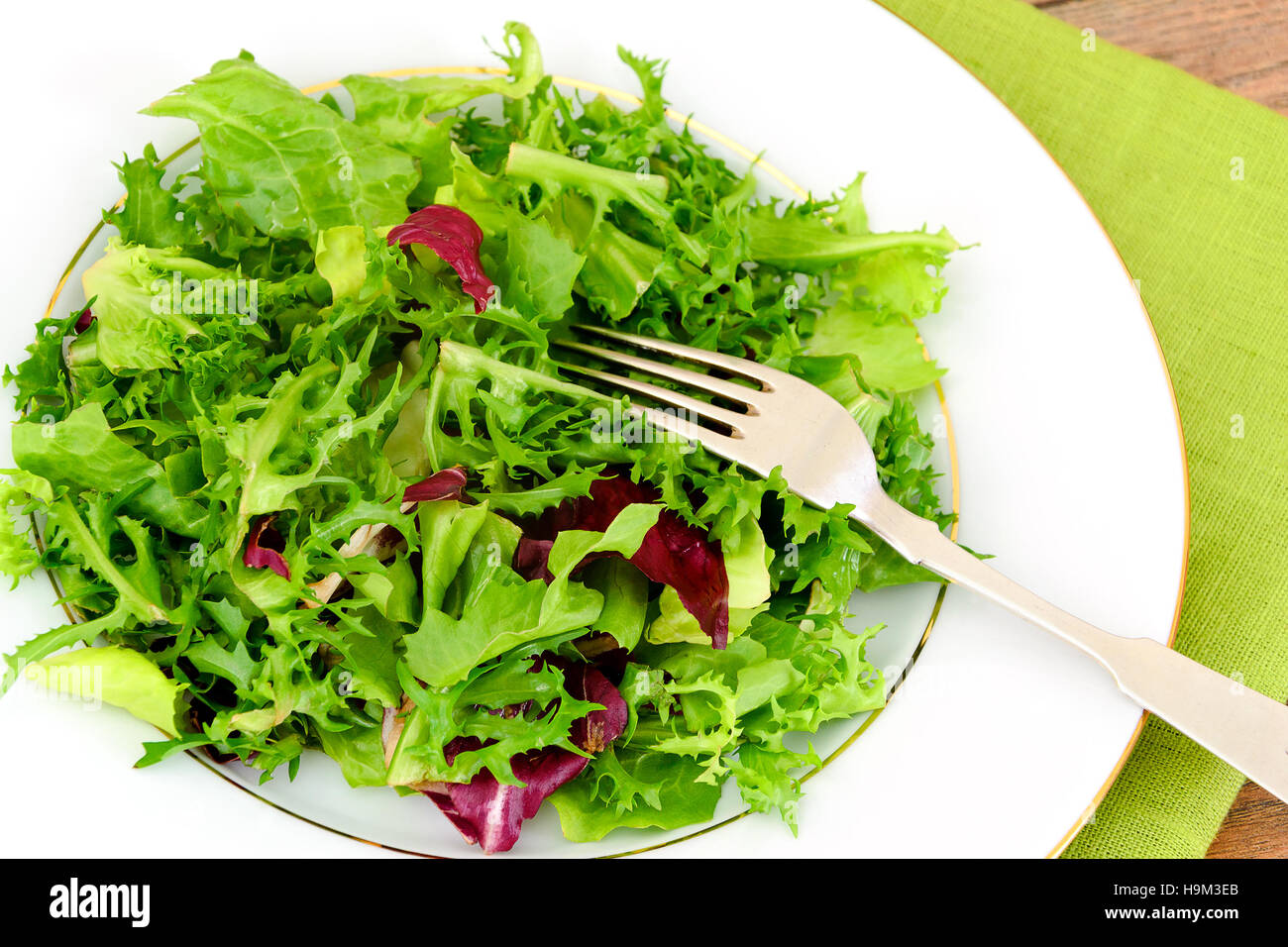 Green Fresh Salad on Plate. Studio Photo Stock Photo