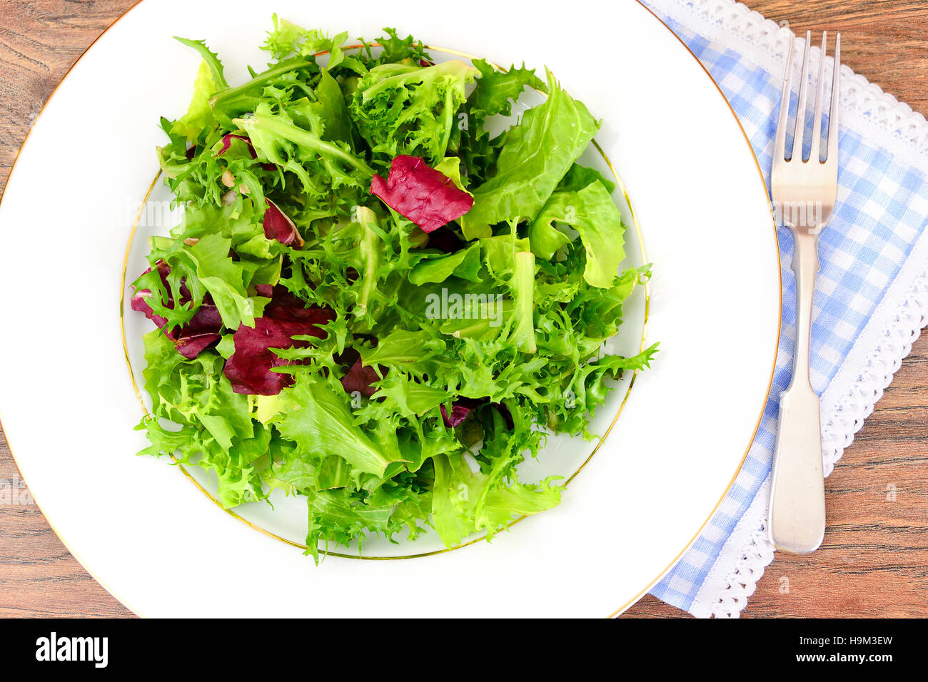 Green Fresh Salad on Plate. Studio Photo Stock Photo