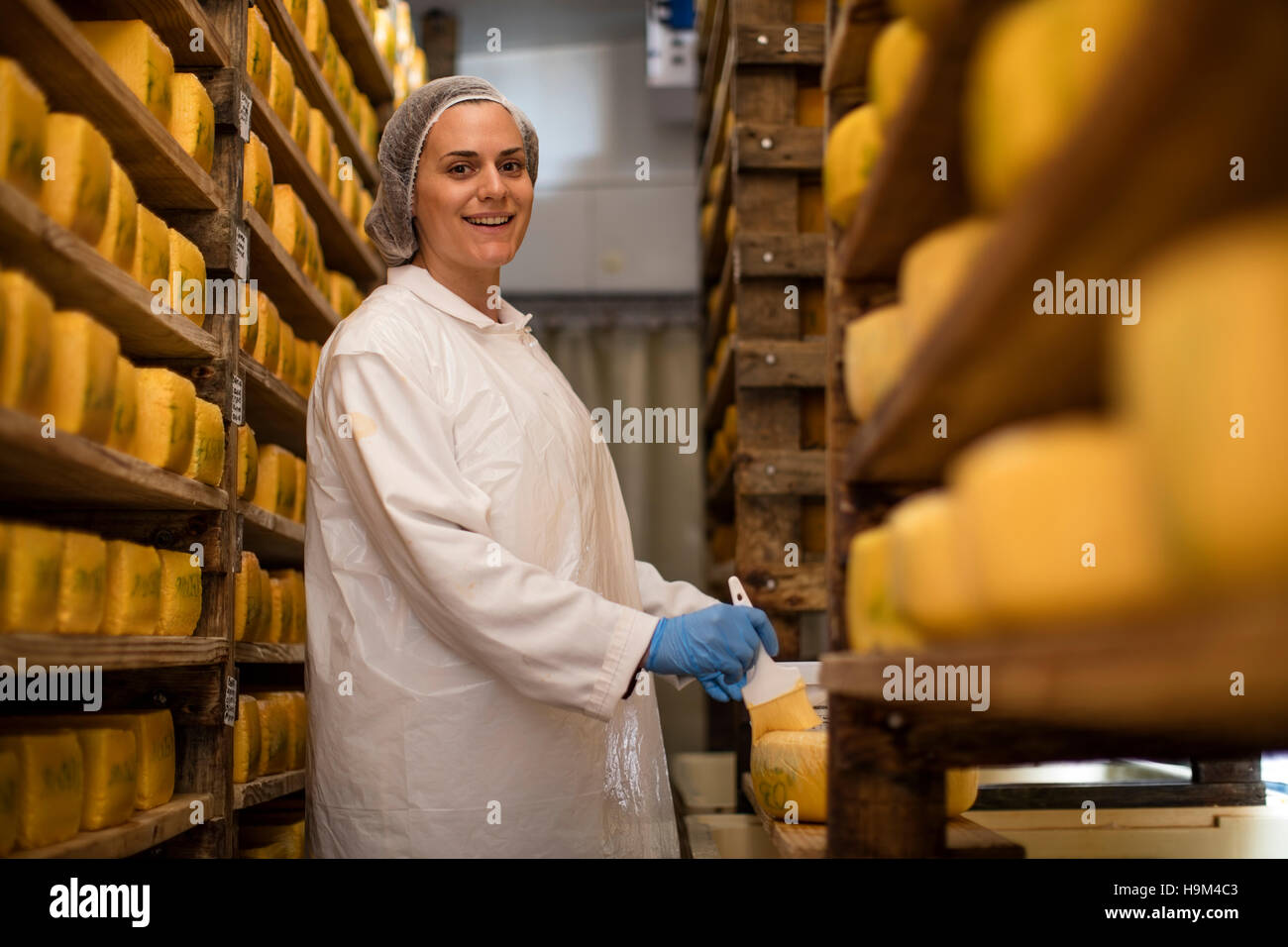 Cheese factory worker applying wax on cheese Stock Photo Alamy