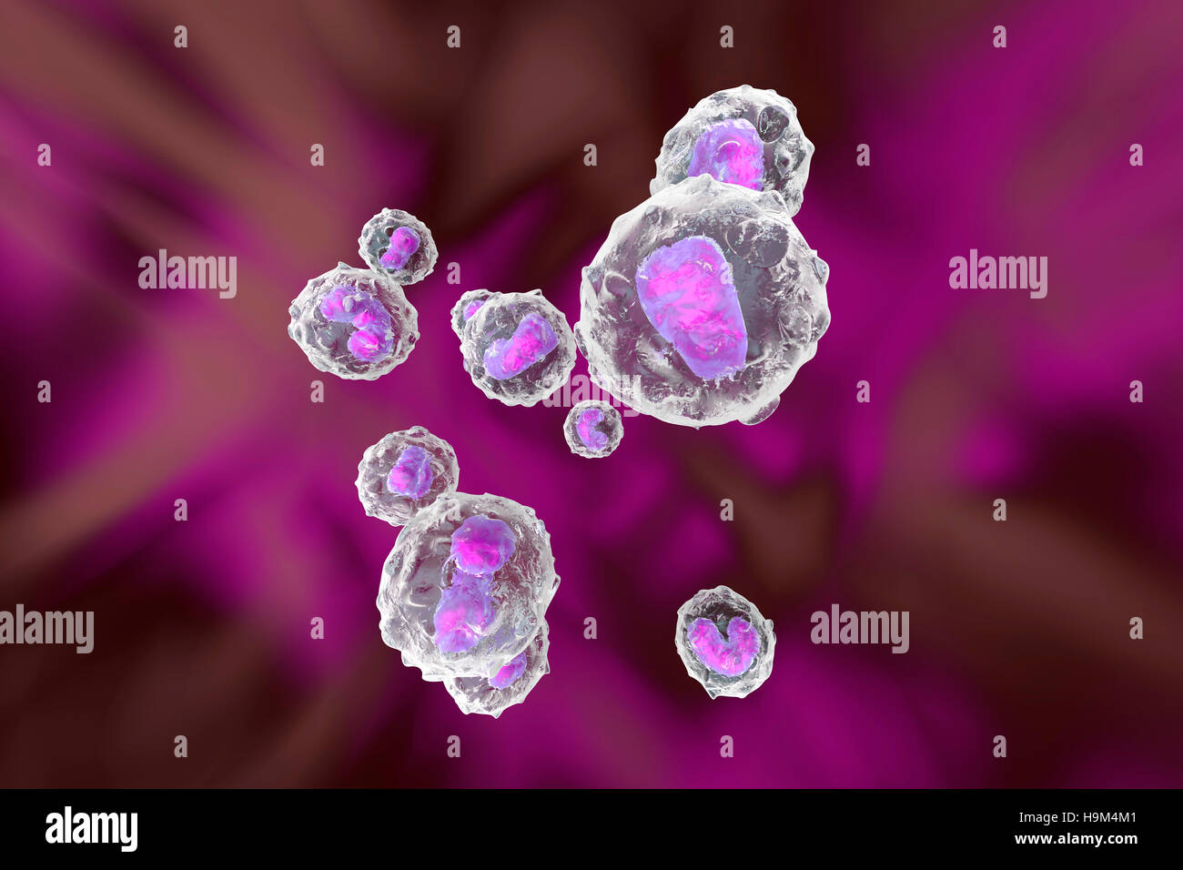Monocyte immune system defense cells, 3D Rendering Stock Photo