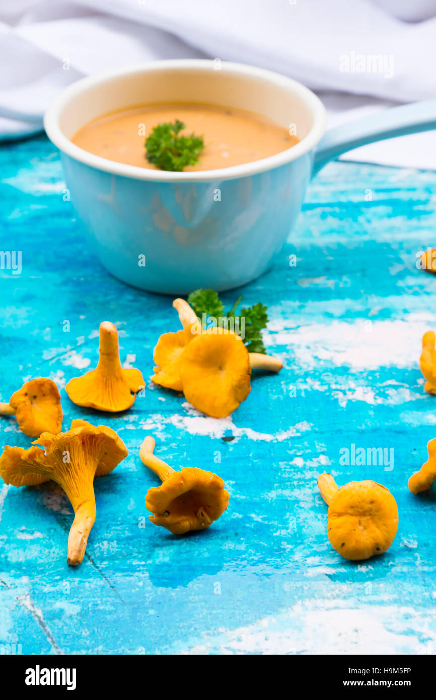 Saucepan of chanterelle soup Stock Photo