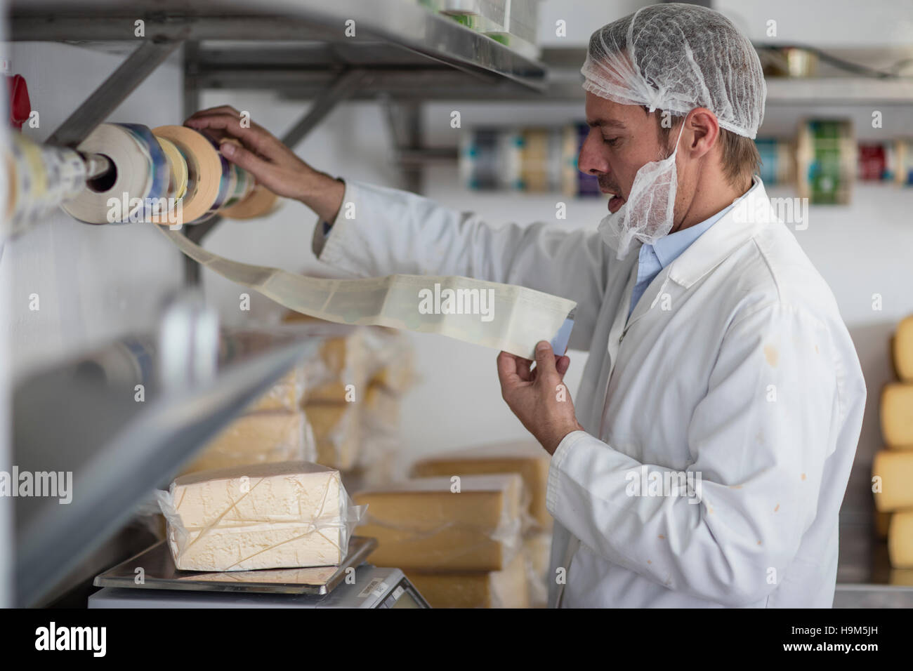 Cheese factory worker weighing packaged cheese Stock Photo Alamy