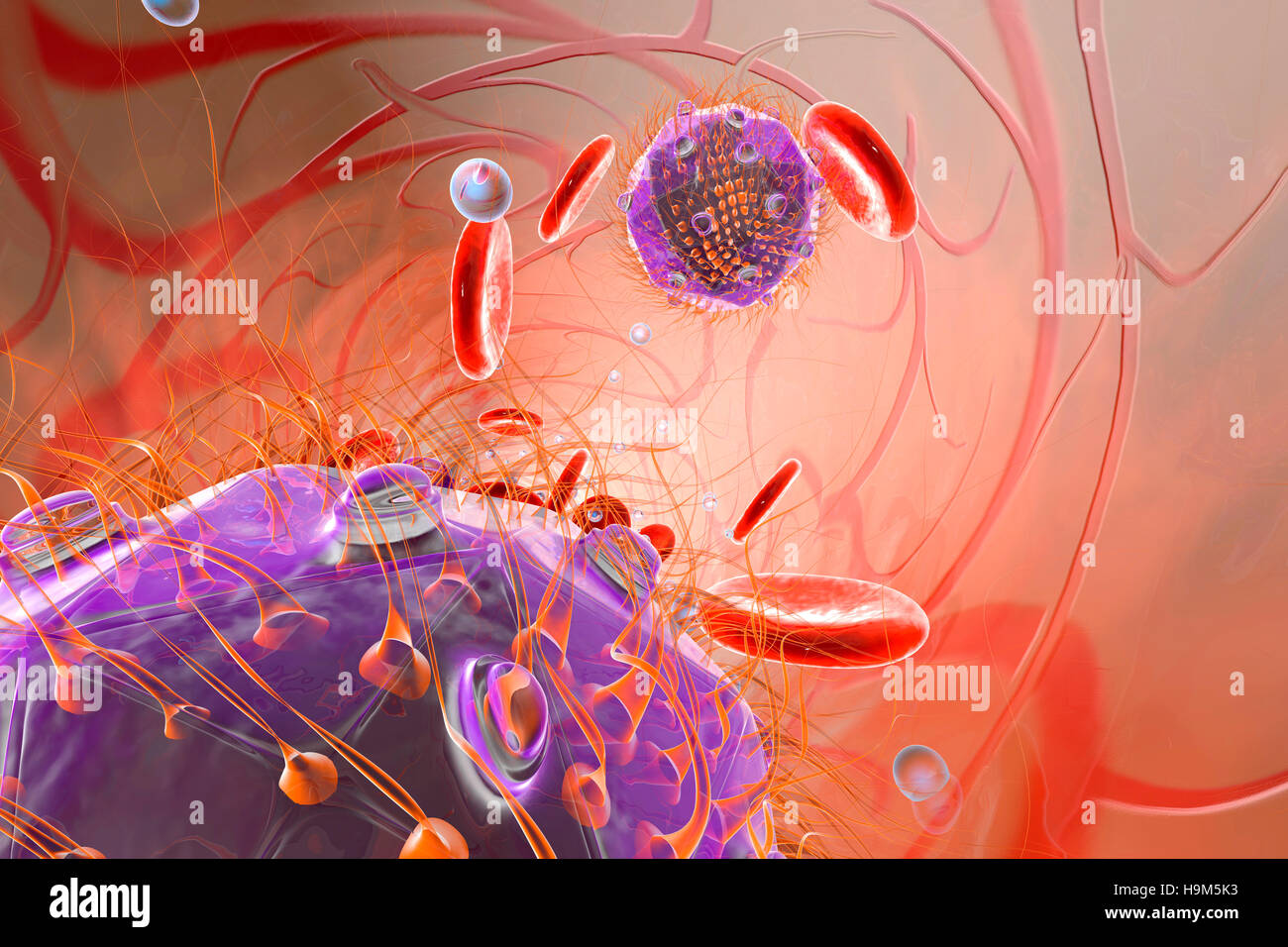 Virus, erythrocyte cells and oxygen in bloodstream, 3D Rendering Stock Photo