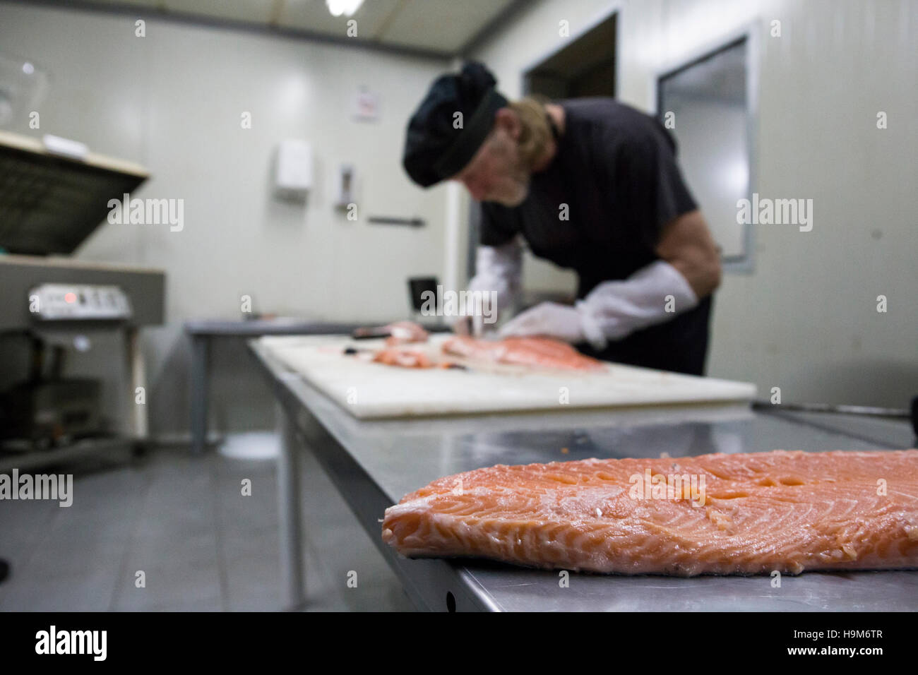 Fish smoker preparing salmon for smoking Stock Photo