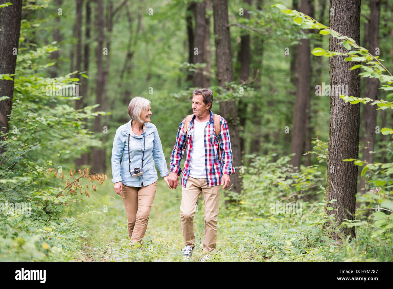 Walking in the woods hi-res stock photography and images - Alamy
