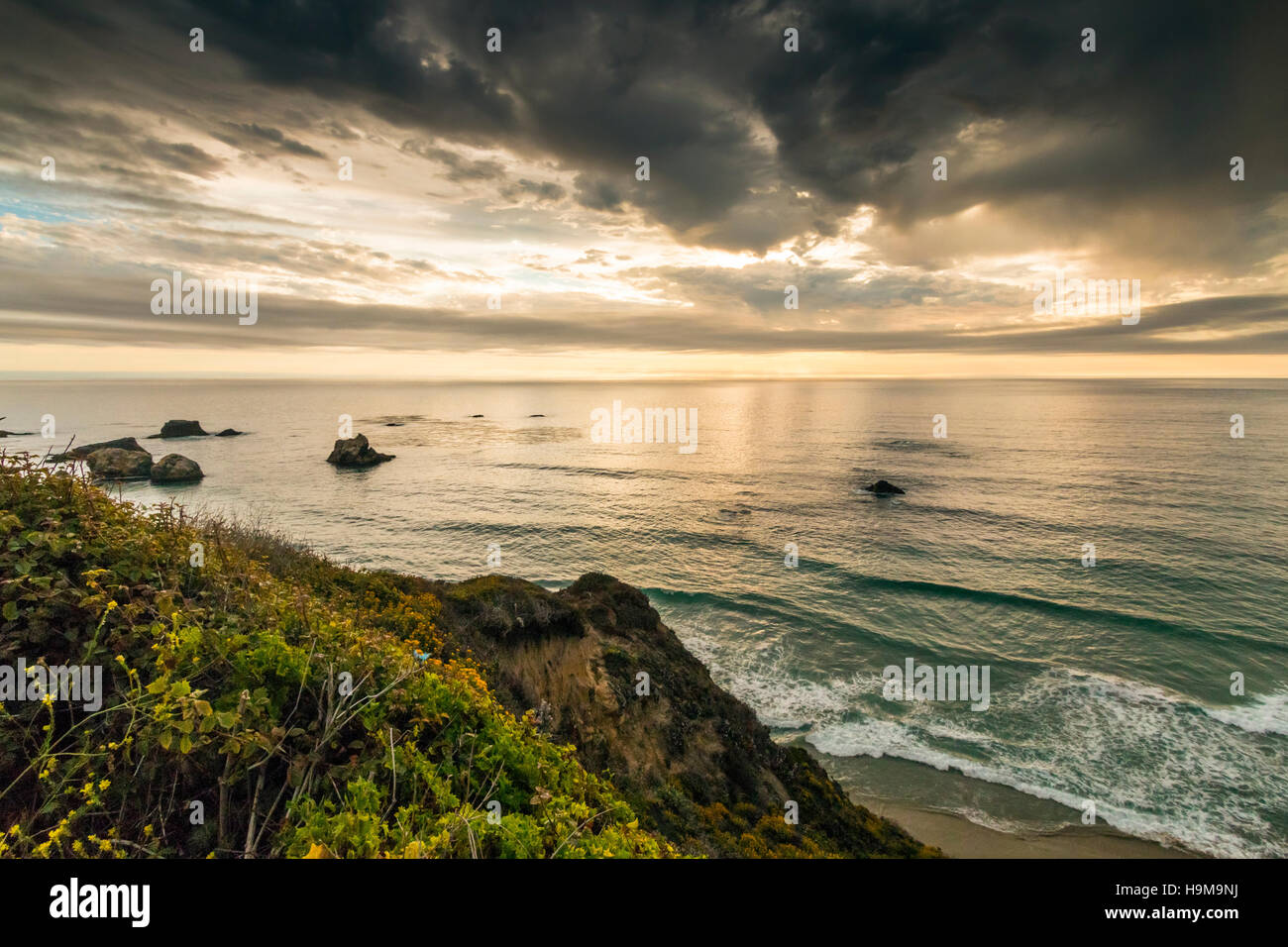 Californias highway 1 hi-res stock photography and images - Alamy