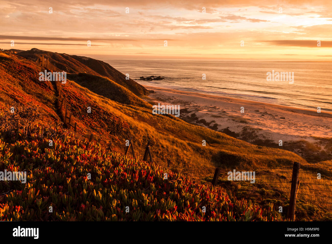 scenic view of the Big Sur in California's Highway 1 Stock Photo - Alamy