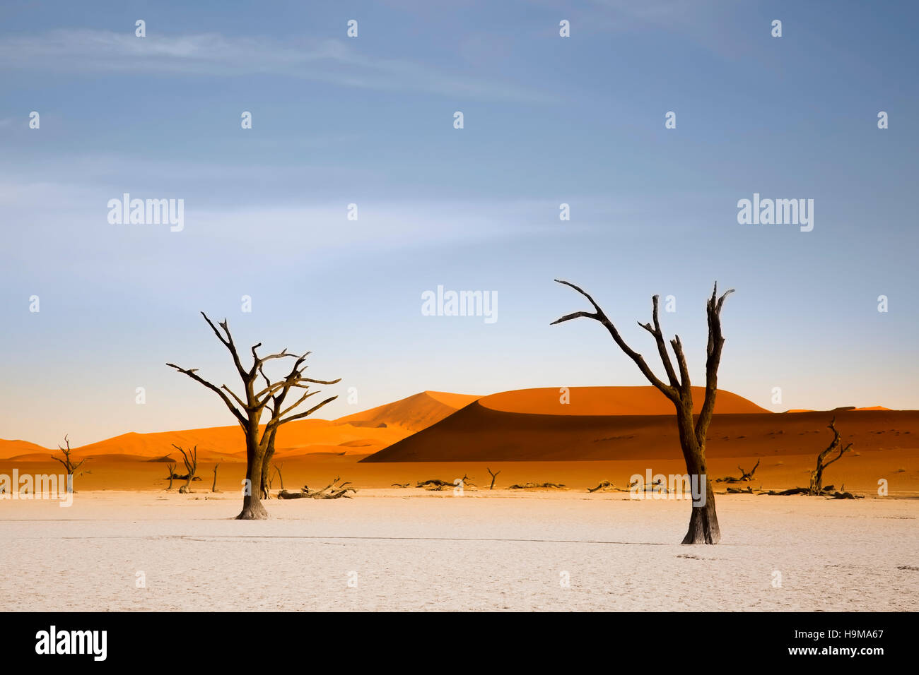 Deadvlei Dunes at sunrise,Namibia Stock Photo