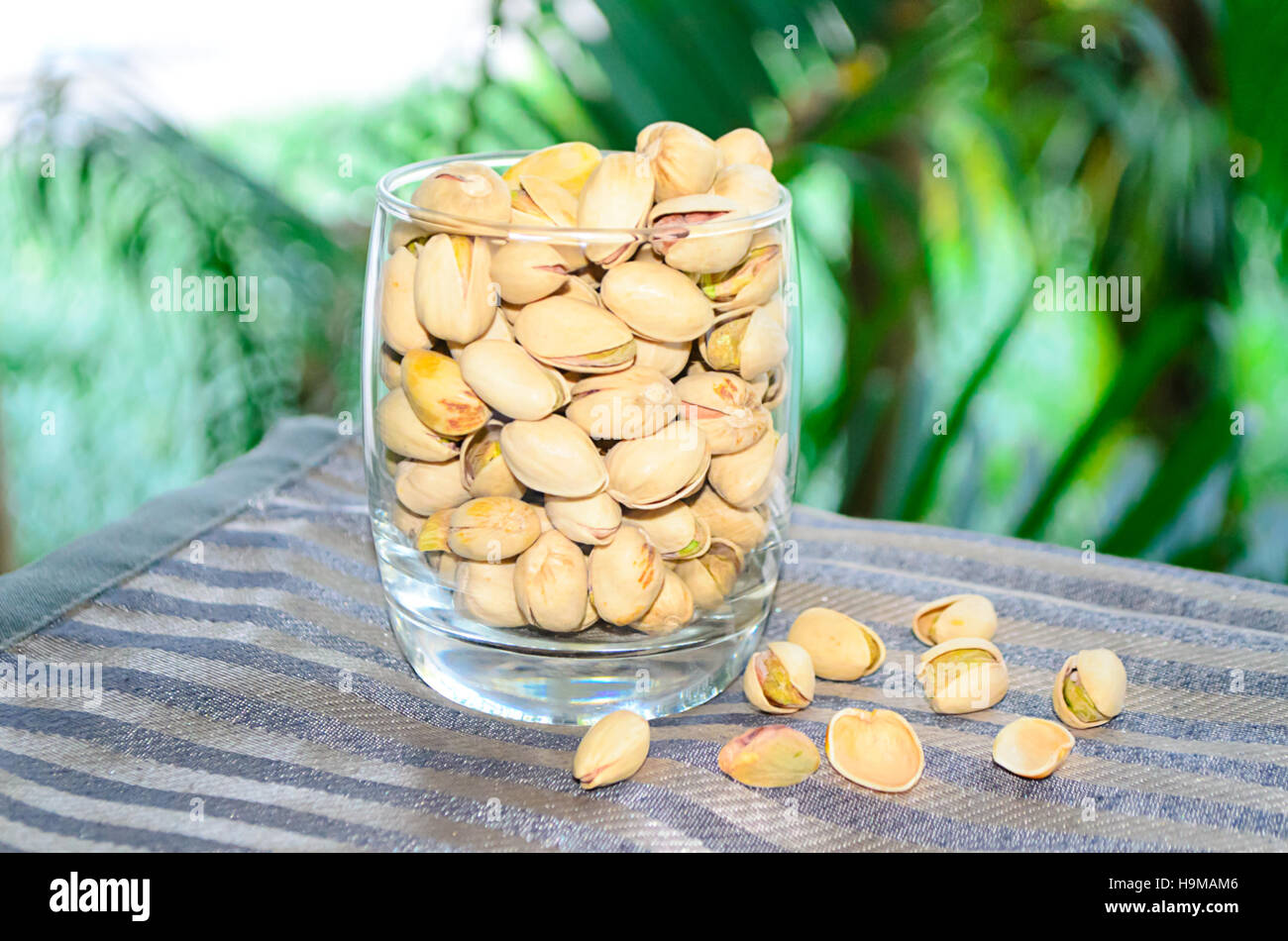 Pistachios in a glass Stock Photo Alamy