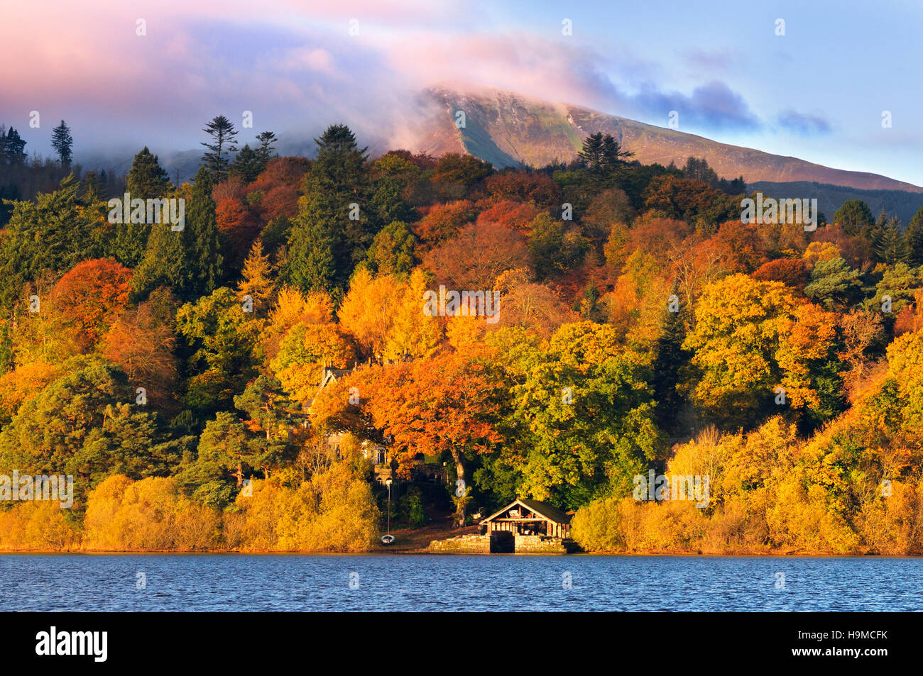 A blaze of autumn colour on the shores of Derwentwater at sunrise, in the Lake District National Park, Cumbria, England, UK Stock Photo