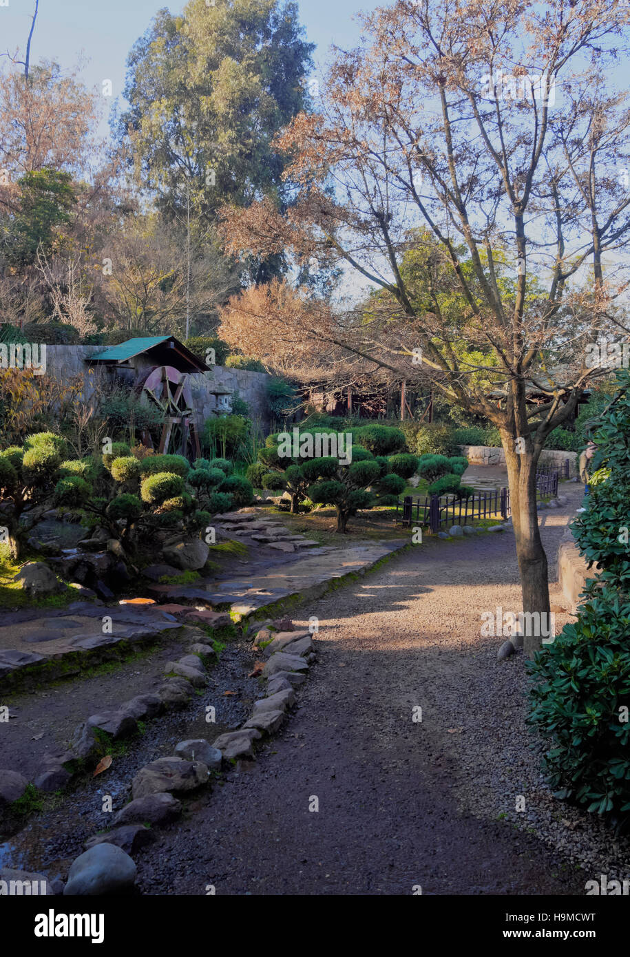 Chile, Santiago, Parque Metropolitano de Santiago, View of the Japanese Garden. Stock Photo