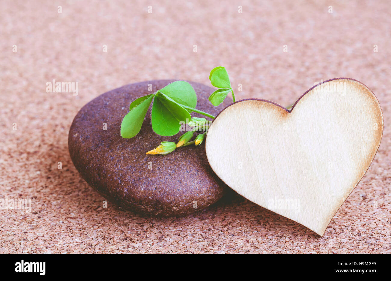 Closeup clover leaf and stone ,wooden heart on cork background. Stock Photo