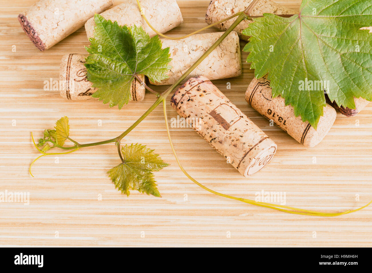 Composition of wine corks with grape vine and leaves on wooden t Stock Photo