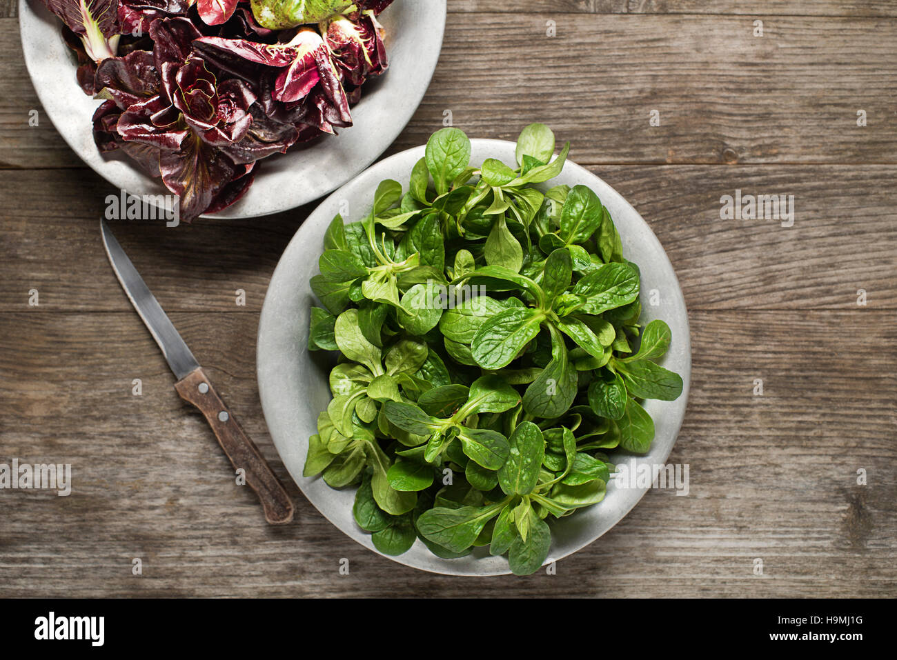 Valerianella lettuce in a plate close up Stock Photo